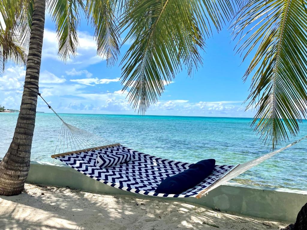 a hammock on the beach under two palm trees at Sunset Cove - Vacation In Paradise! in Nassau