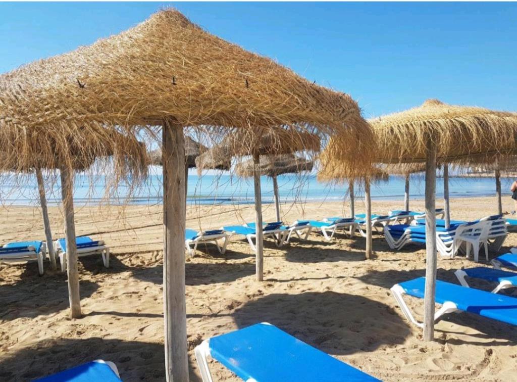 Plaża w apartamencie lub w pobliżu