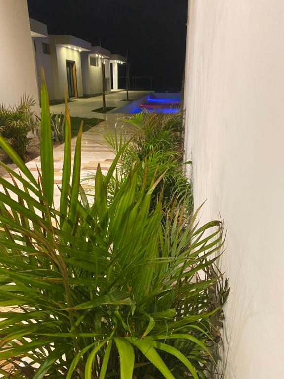 Bazén v ubytování Riviera Vichayito nebo v jeho okolí