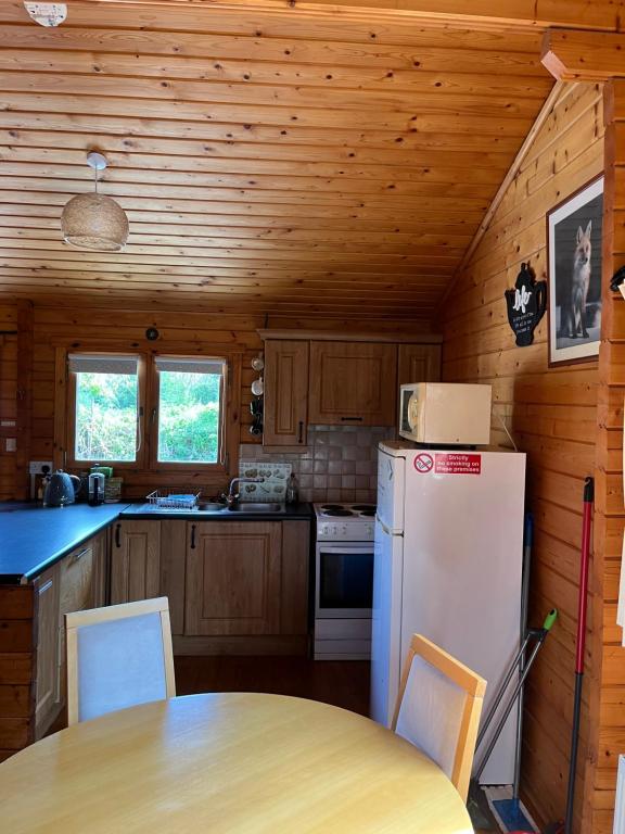 Kuchyň nebo kuchyňský kout v ubytování Red Squirrel Lodge
