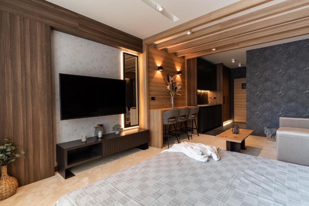 TV a/nebo společenská místnost v ubytování Aparthotel Woodside by Anaya