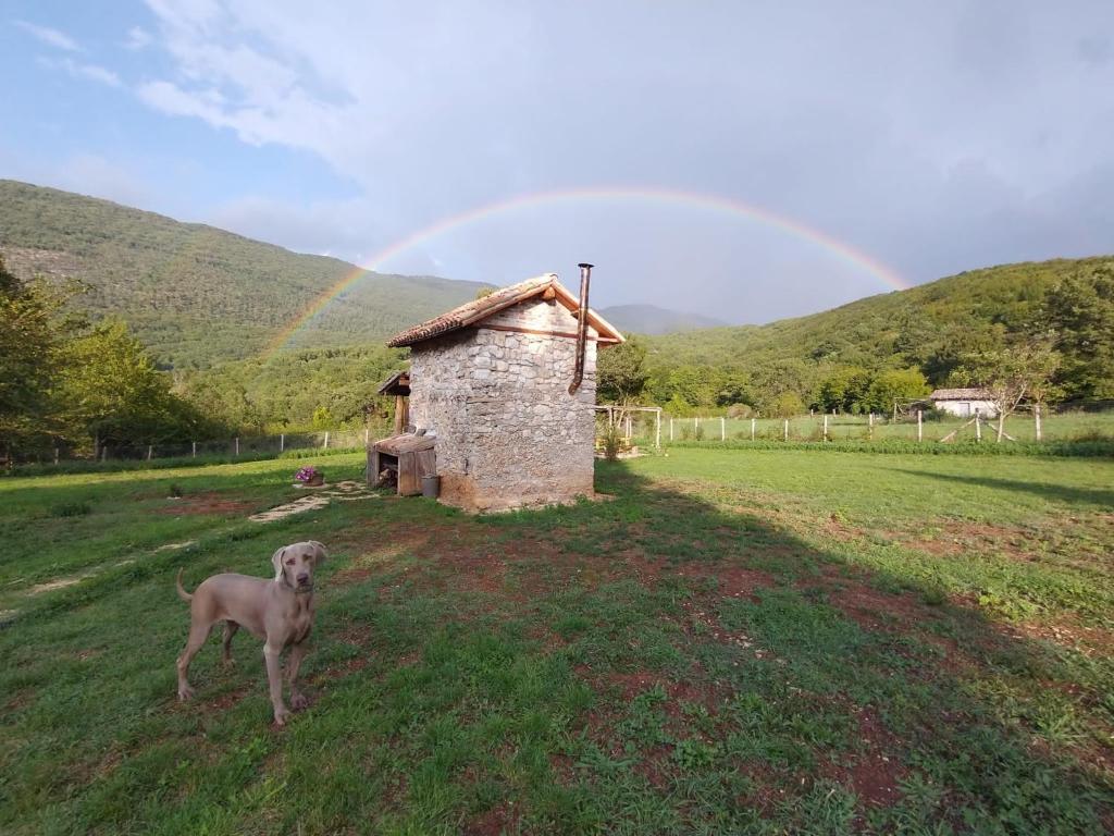 Il rifugio del Ghiro - Housity