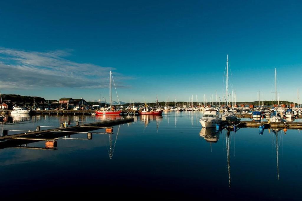 Eine Gruppe von Booten liegt in einem Hafen vor Anker. in der Unterkunft Fin lägenhet. Gångavstånd till Strömstads centrum. in Strömstad