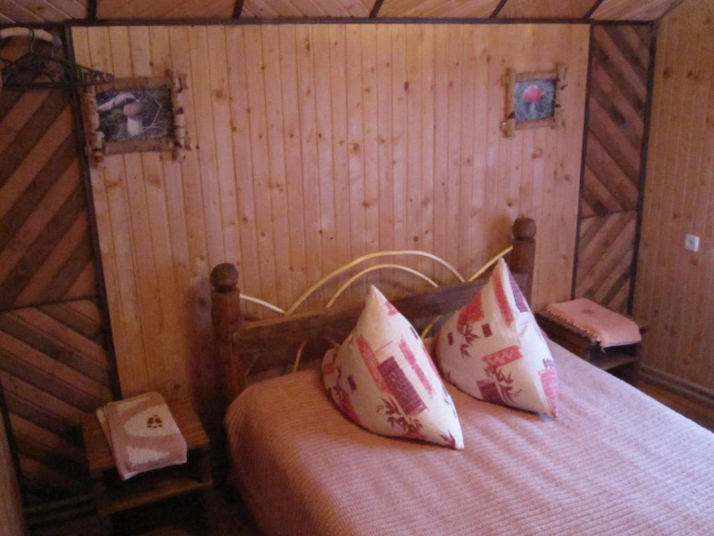 1 dormitorio con 1 cama con 2 almohadas en Teremok en Mykulychyn