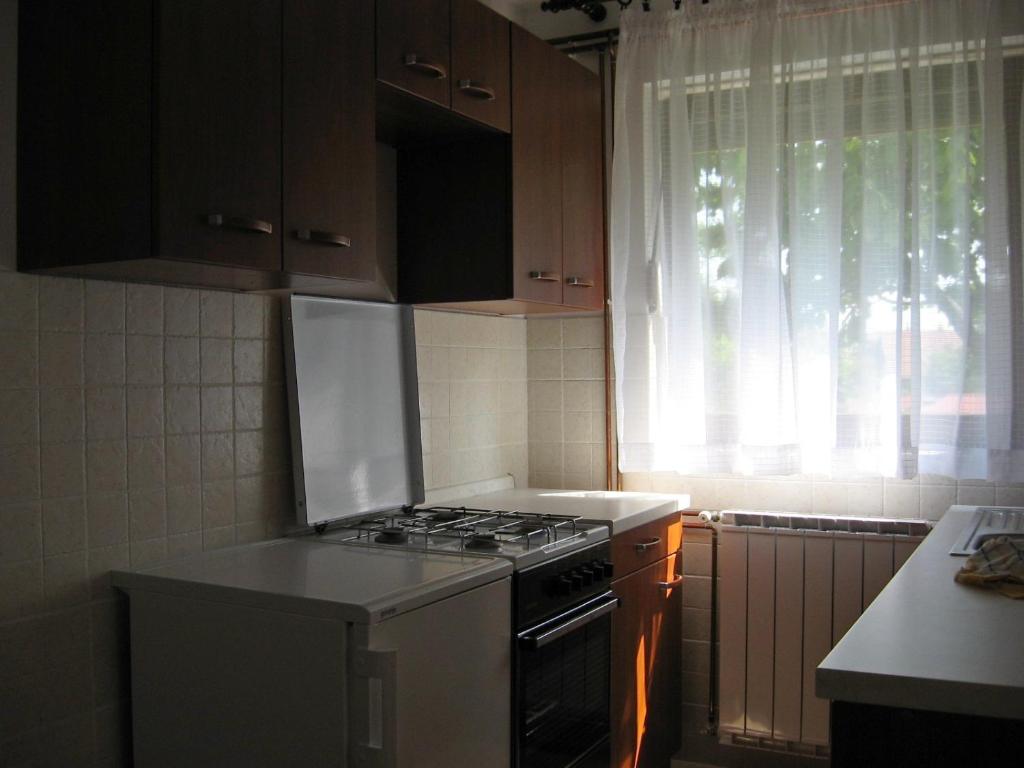 Fotografia z galérie ubytovania Apartments with a parking space Delnice, Gorski kotar - 15589 v destinácii Delnice