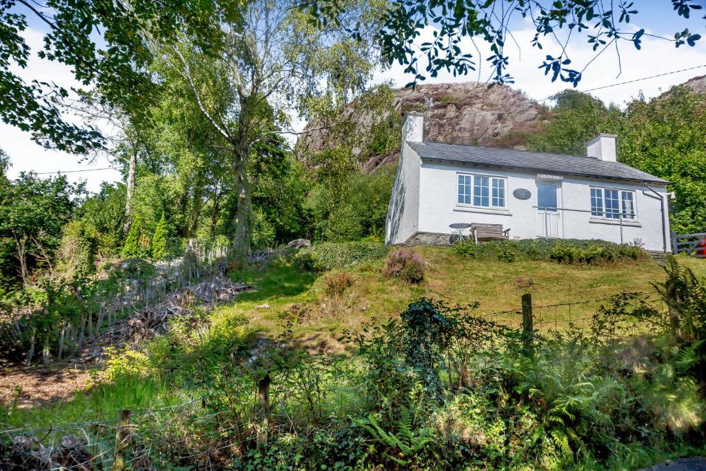 una casa blanca en la cima de una colina en Penlan, en Beddgelert