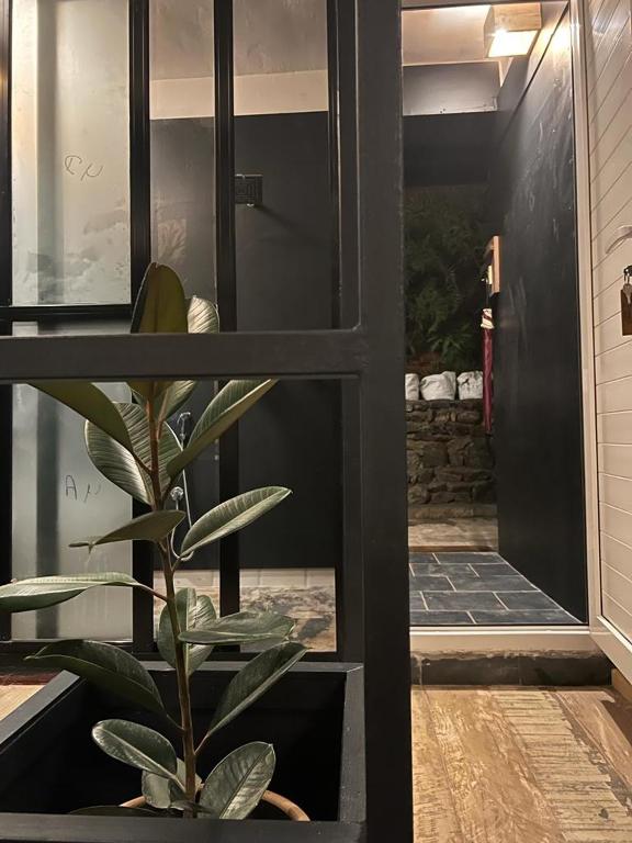 Foto sihtkohas Pokhara asuva majutusasutuse Gusto Accommodation galeriist