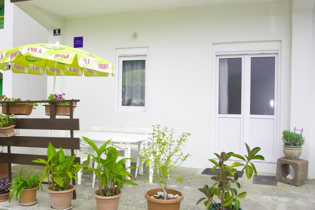 Zahrada ubytování Apartments with parking spaces Podaca, Makarska - 15748
