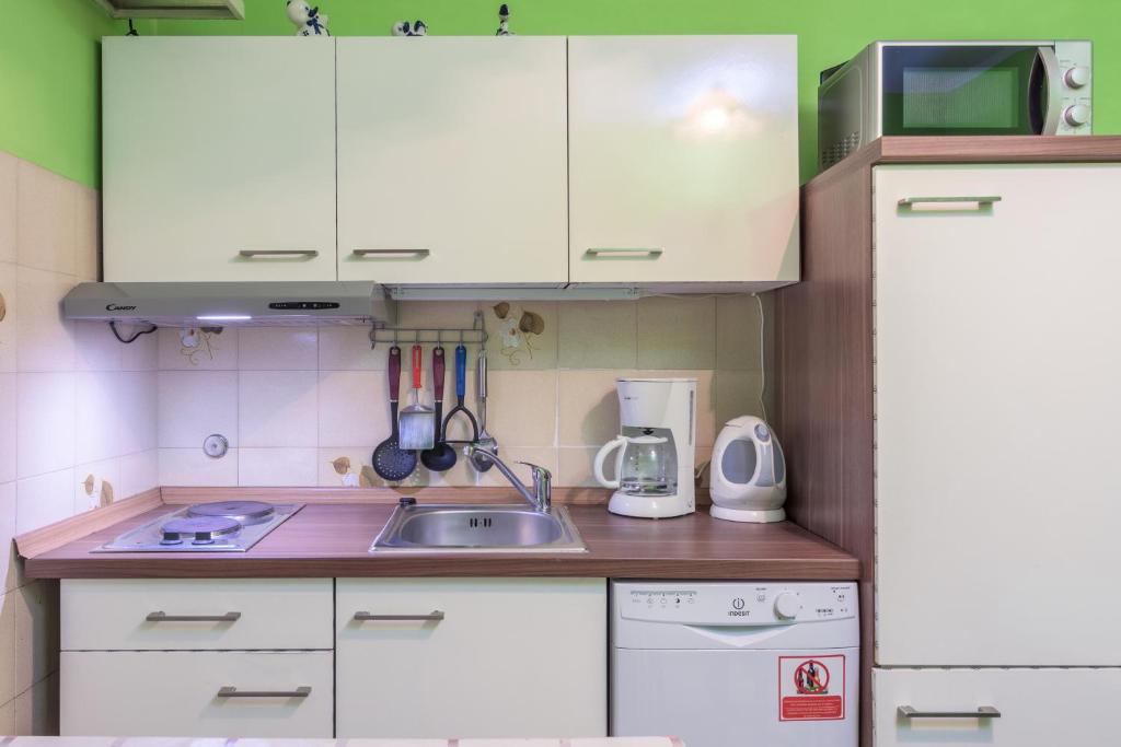Kuchnia lub aneks kuchenny w obiekcie Apartment Pula 16053a