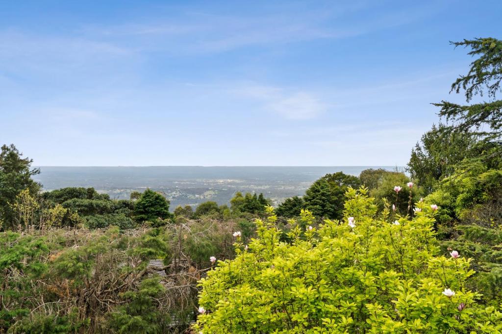 a view from the top of a hill with flowers at Bells Rest with a view in Kurrajong