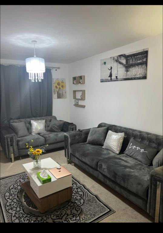 Luxury modern home leicester, Leicester (updated prices 2024)