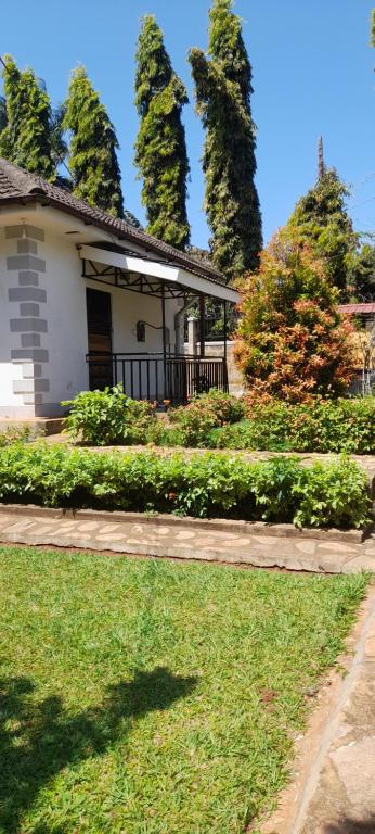 a house with a yard with grass and trees at Aivilo Home in Kampala