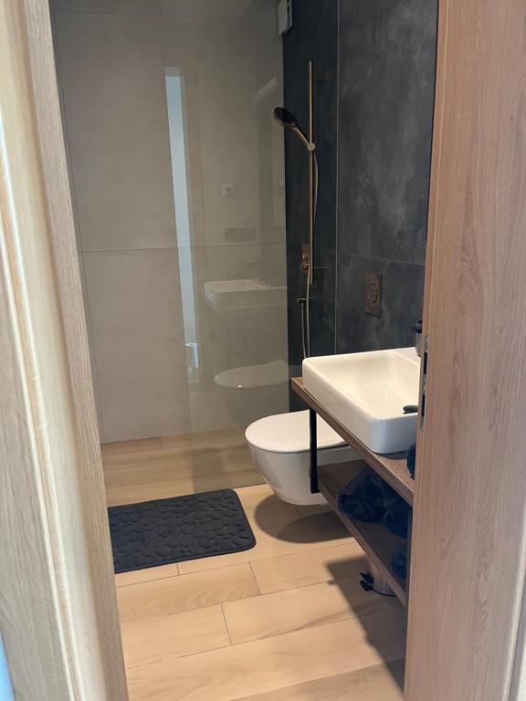Fotografie z fotogalerie ubytování Pražská Apartments ve Znojmě