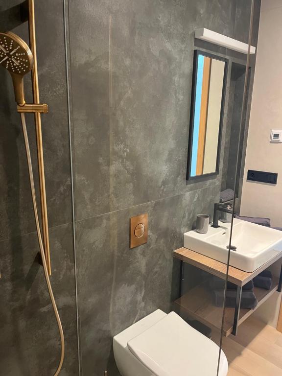 Fotografie z fotogalerie ubytování Pražská Apartments ve Znojmě