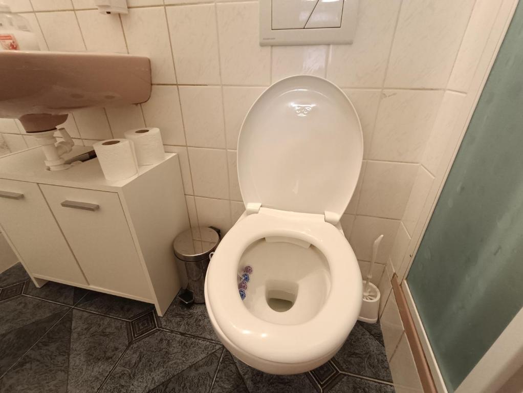 Koupelna v ubytování Apartmán Horní Slavkov Hodinářství