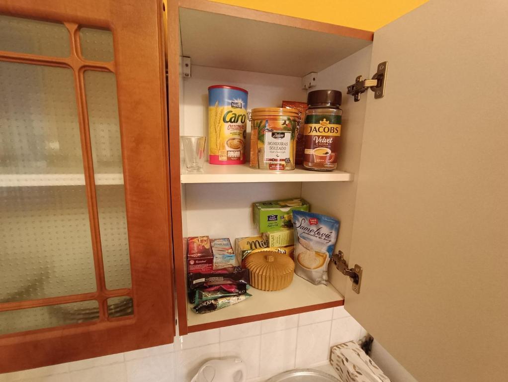 Kuchyň nebo kuchyňský kout v ubytování Apartmán Horní Slavkov Hodinářství