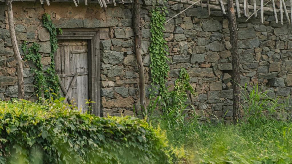 Zahrada ubytování Amaya Life Kasauli