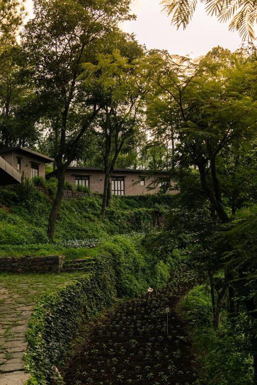 Zahrada ubytování Amaya Life Kasauli