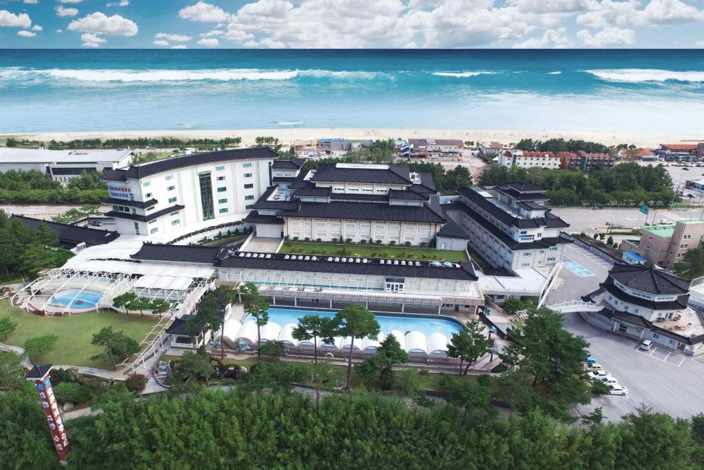 Donghae Medical Spa Convention Hotel في دونغ هاي: اطلالة جوية على مبنى بالقرب من المحيط