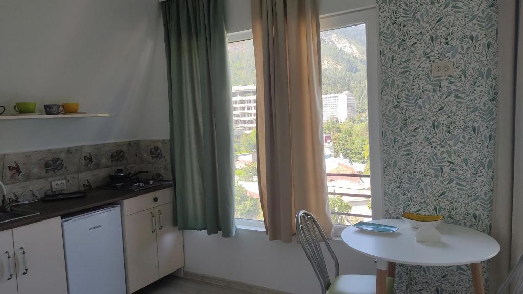 Kuchyň nebo kuchyňský kout v ubytování Borjomi Nest 1