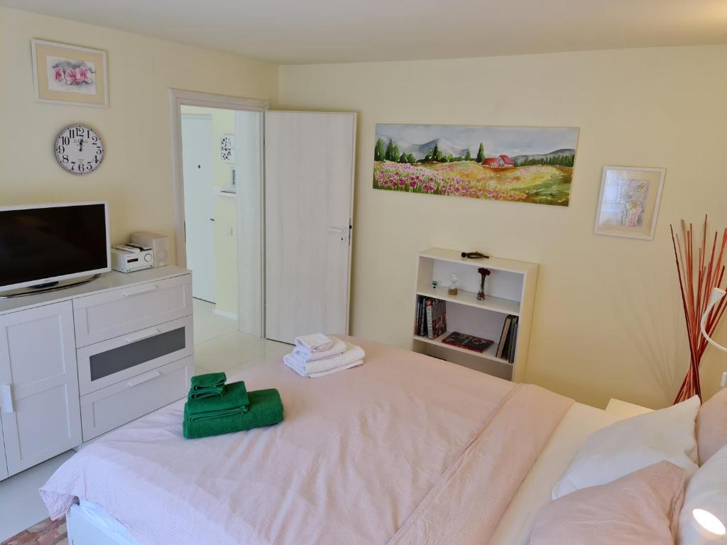 Postel nebo postele na pokoji v ubytování Apartamentul ALB