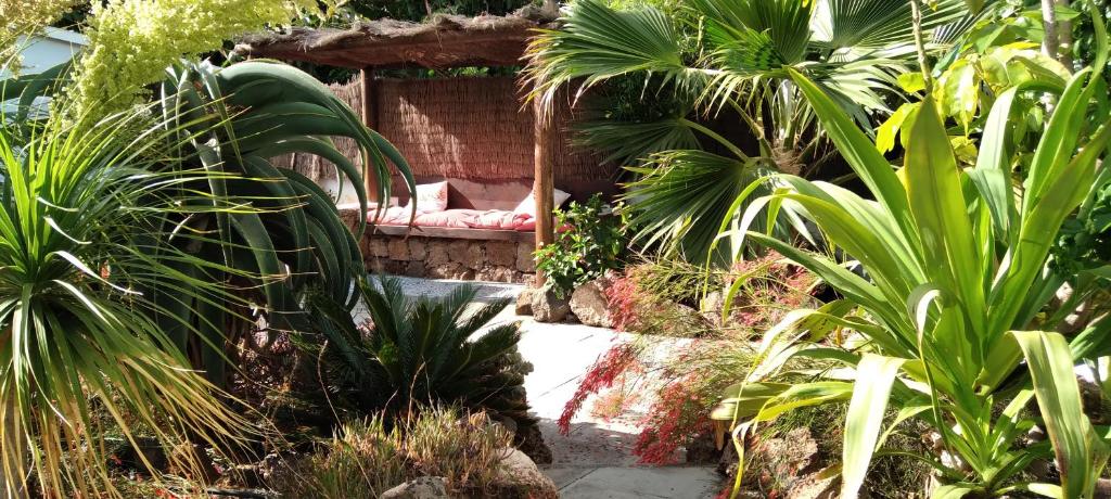 GuatizaにあるFinca Botanico Garden Apartmentの植物の中にソファのある庭園