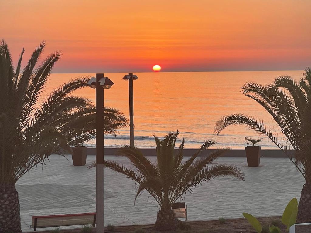 奧羅佩薩德爾馬的住宿－Oropesa del Mar, Playa Morro de Gos, Playa Blanca，棕榈树和长凳的海滩上的日落