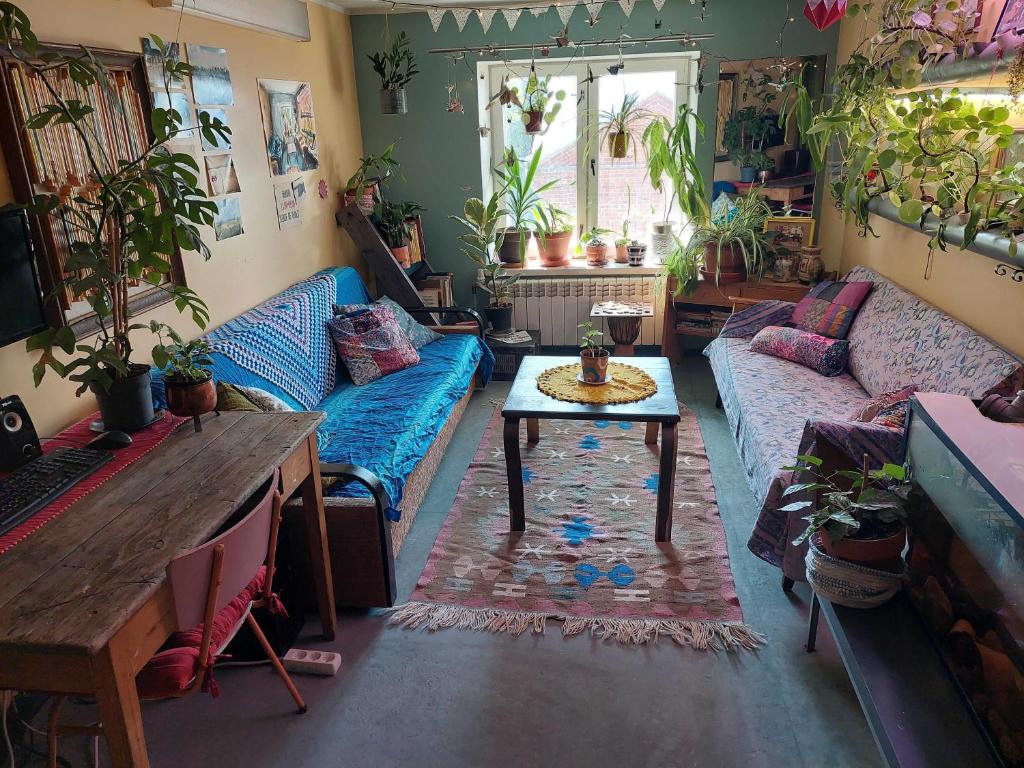 een woonkamer met een blauwe bank en een tafel bij Looming Hostel in Tartu