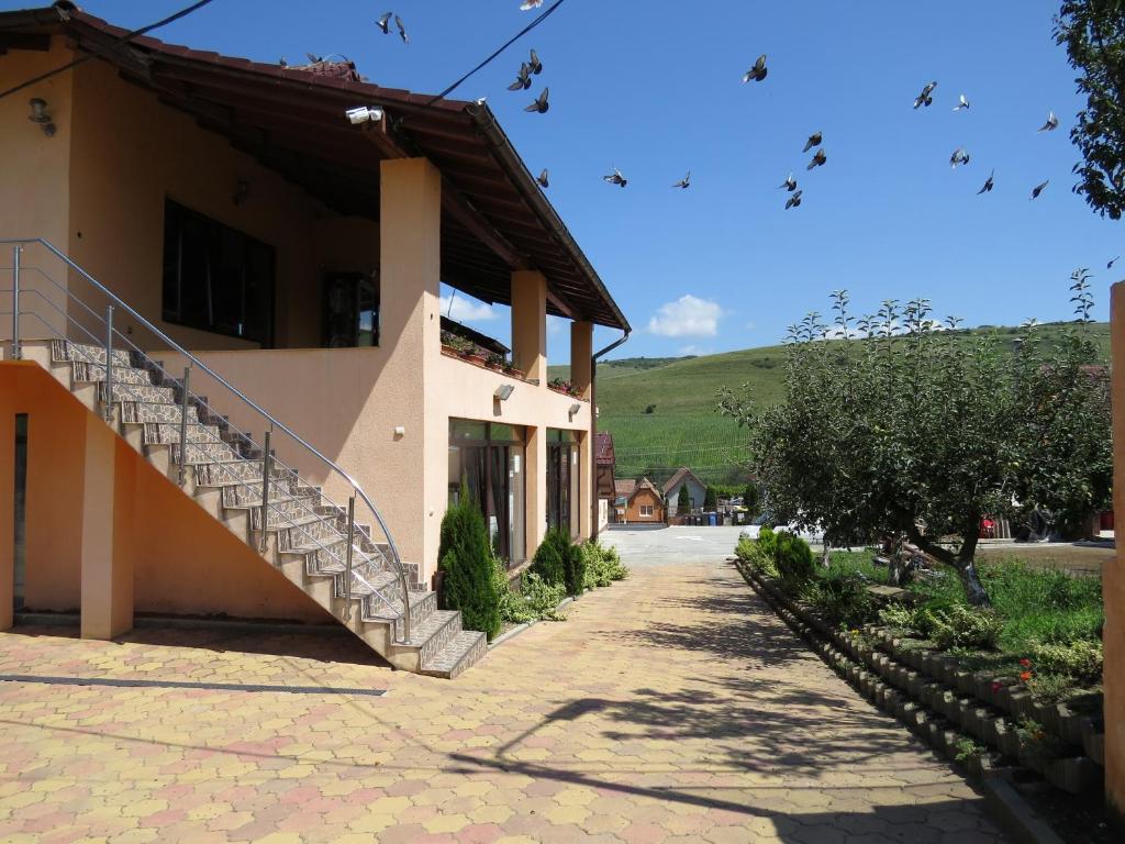 a building with a staircase next to a driveway at Pensiunea Baroque Slimnic in Slimnic