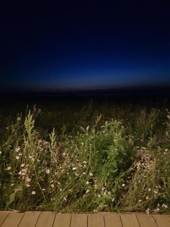 Príroda v okolí dovolenkového domu
