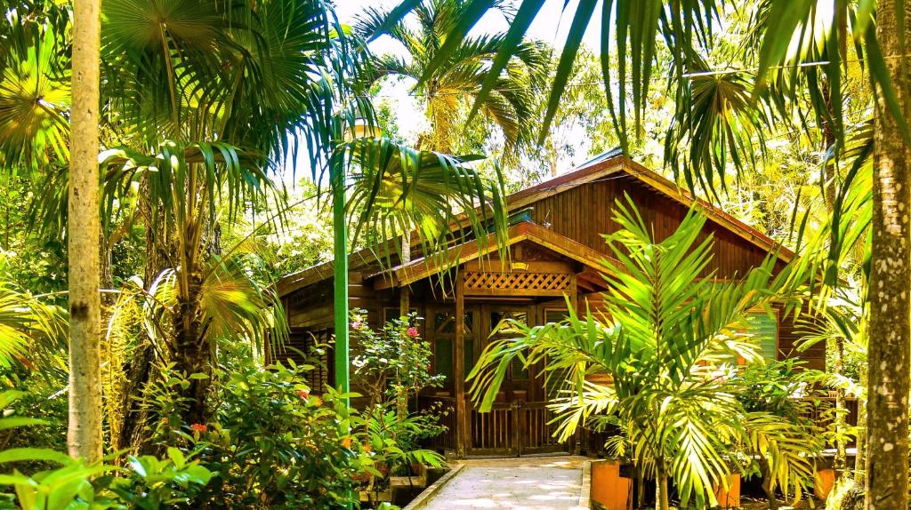 una casa en medio de un bosque con palmeras en Lighthouse Inn 2, en Negril