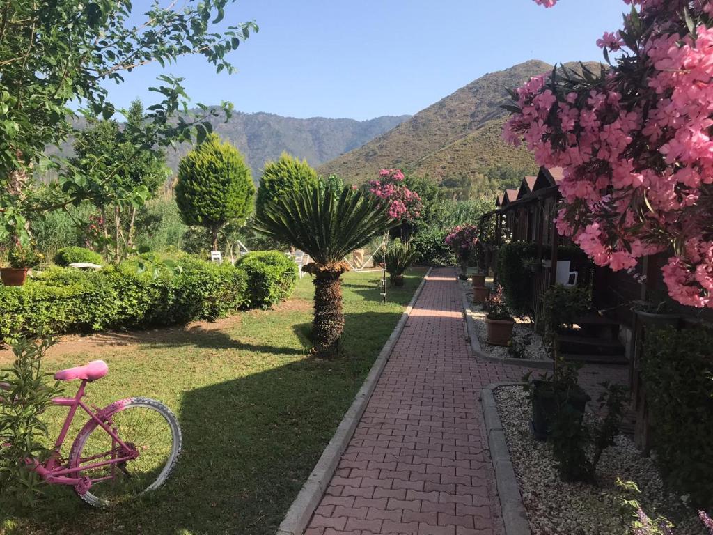山景或在酒店看到的山景