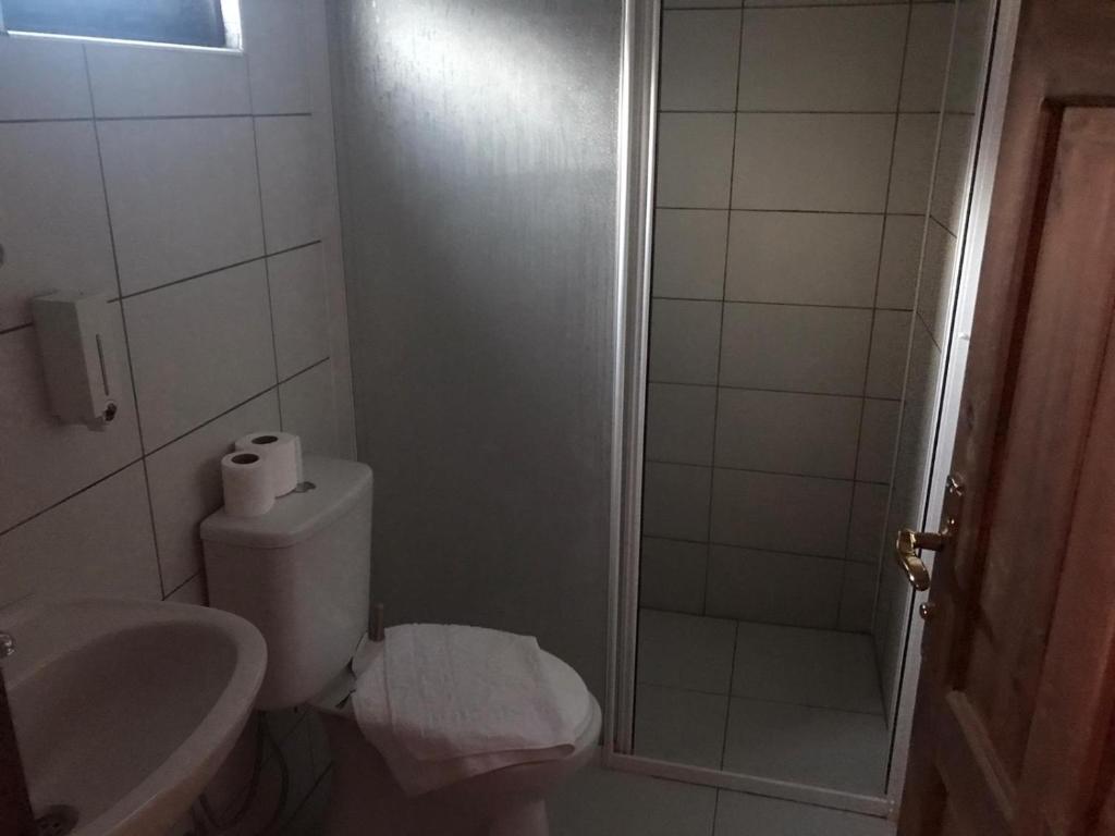 KumlucaAda Adrasan Hotel的配有马桶、水槽和淋浴的浴室