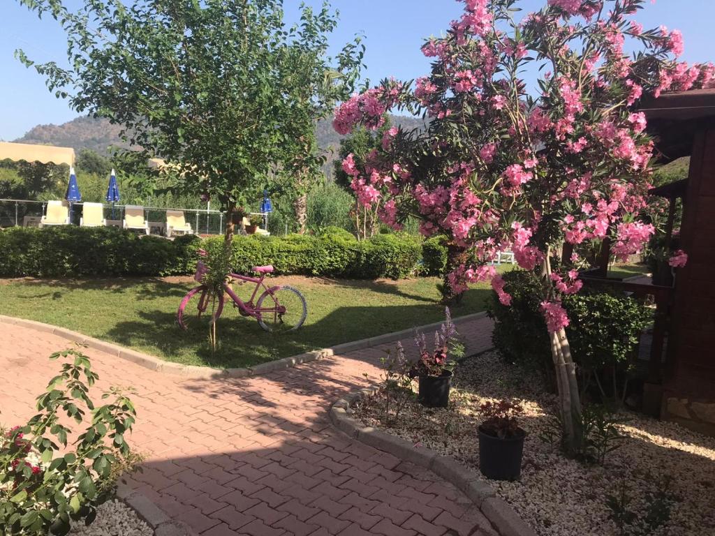 Ada Adrasan Hotel外面的花园
