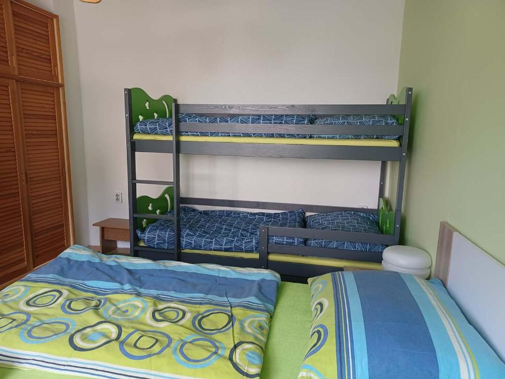 Postel nebo postele na pokoji v ubytování Apartmány u vleku