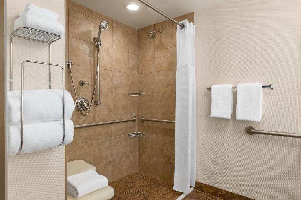 Holiday Inn Boston - Cambridge Area by IHG - 豪华单人间，带淋浴 - 残疾人