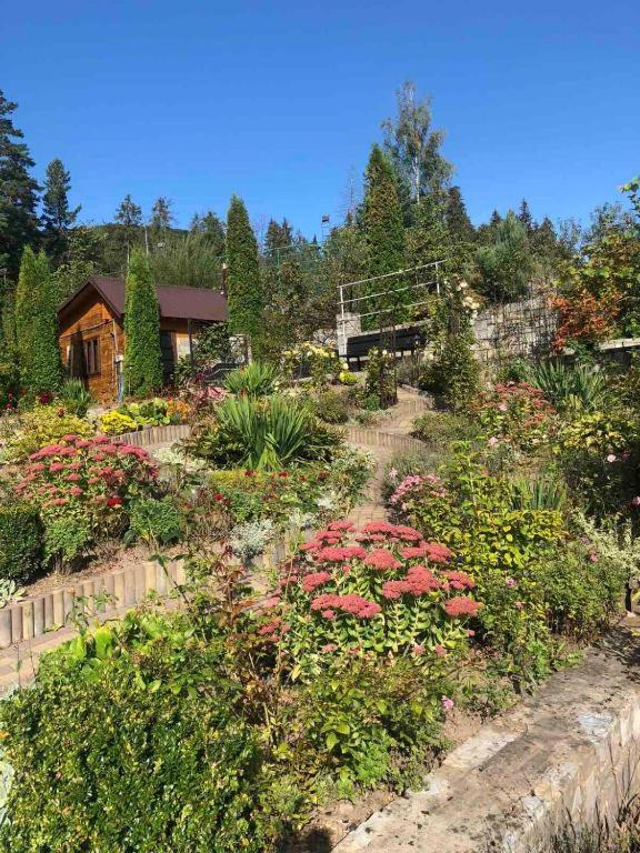 Villa Medova - Квартира - Первый этаж