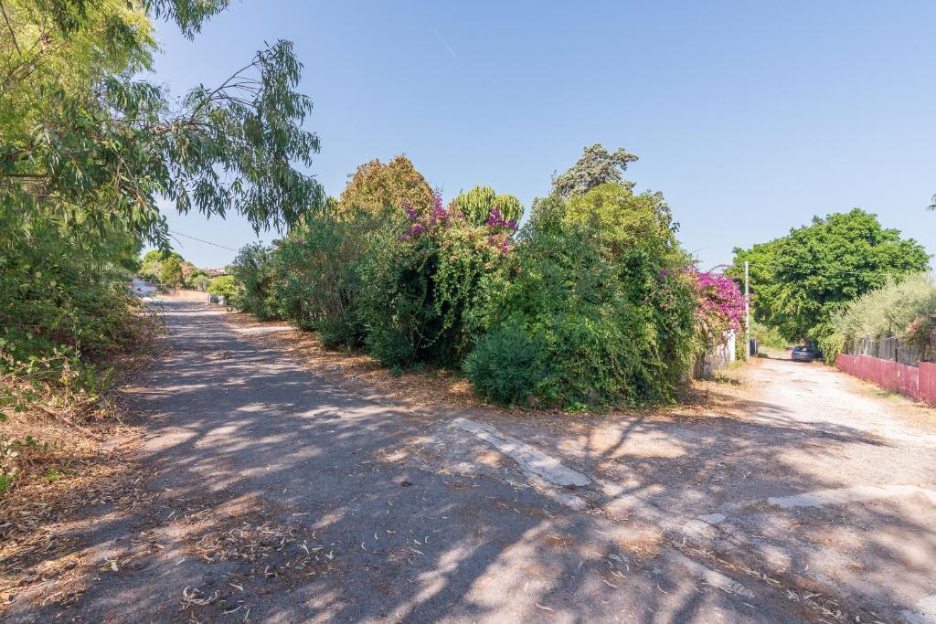 Zdjęcie z galerii obiektu Casavacanza immersa nel verde w Auguście