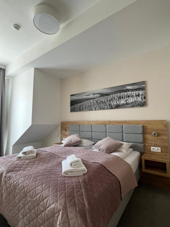 Posteľ alebo postele v izbe v ubytovaní Aparthotel Apartamenty Czarna Góra 410