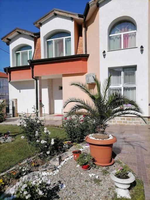 a house with a potted plant in front of it at Lucky 2 in Pavel Banya