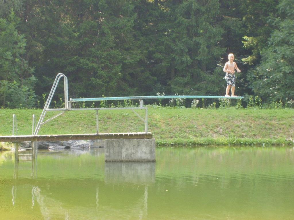 Hosté ubytování Ferienwohnungen Jagerhüttn