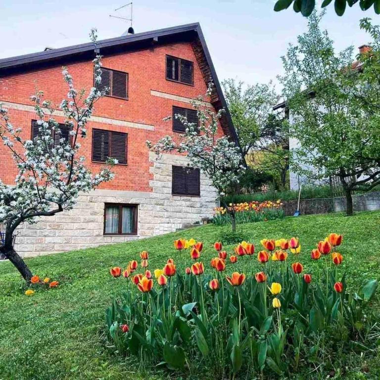 un champ de tulipes devant un bâtiment en briques dans l'établissement Kosmajski raj, à Nemenikuće