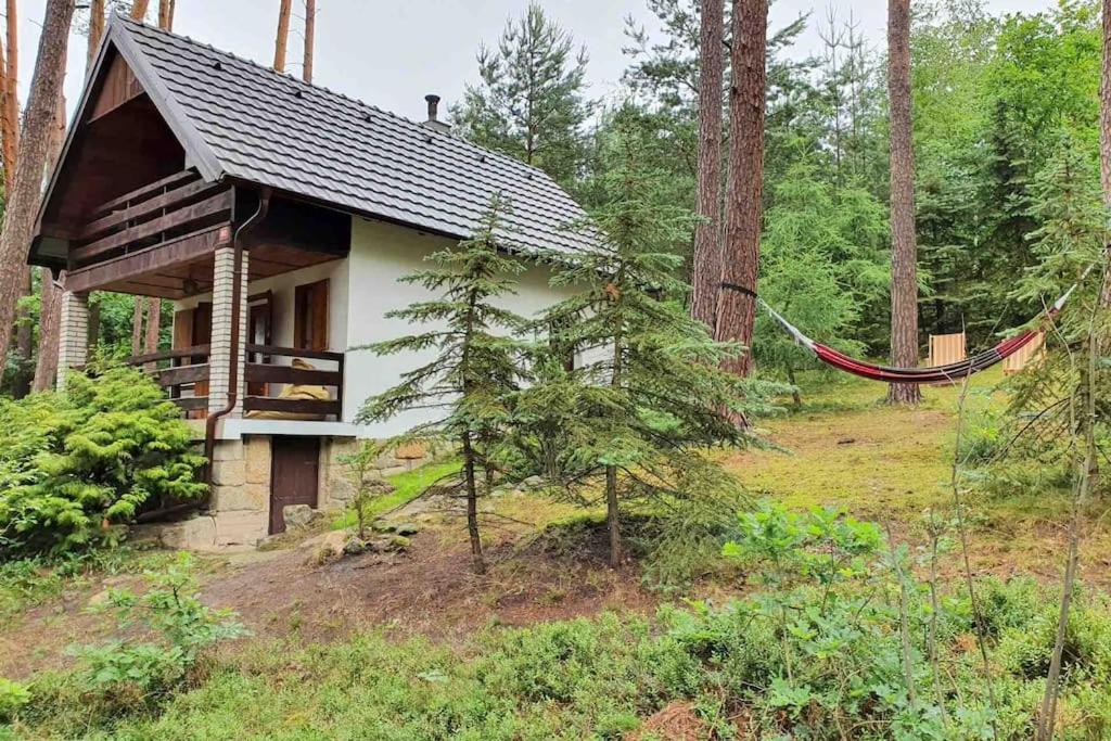 una pequeña casa en el bosque con una hamaca en la parte delantera en Chata u Tobíka en Holany