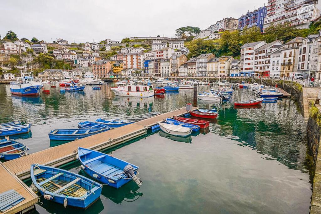 Un montón de barcos están atracados en un puerto en Room in Lodge - Pension Oria Luarca Asturias en Luarca