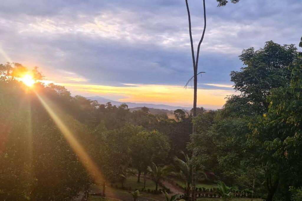 a sunset with the sun shining through the trees at Cascadas Corcovado - luxury villa in Charcos