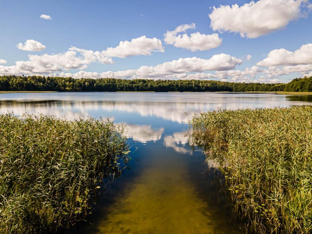 Príroda v okolí dovolenkového domu