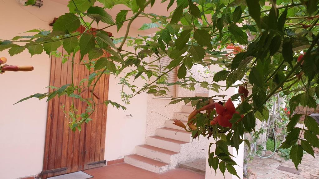 klatka schodowa z drewnianymi drzwiami i rośliną w obiekcie Casa vacanze Isola Rossa w mieście Isola Rossa