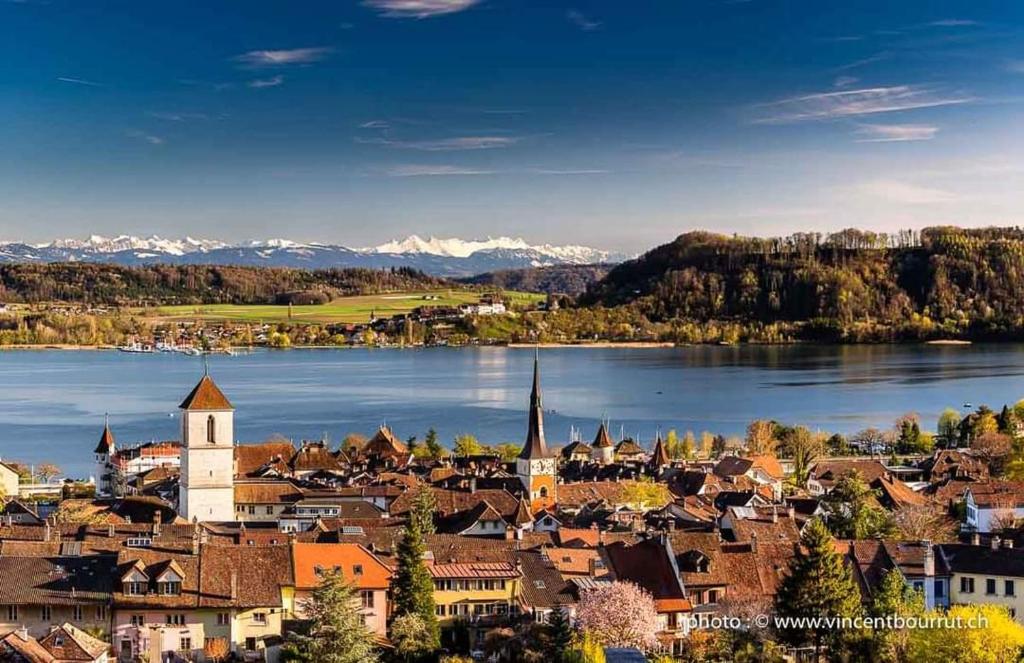 a view of a town with a lake and mountains at Studios des Arcades in La Neuveville