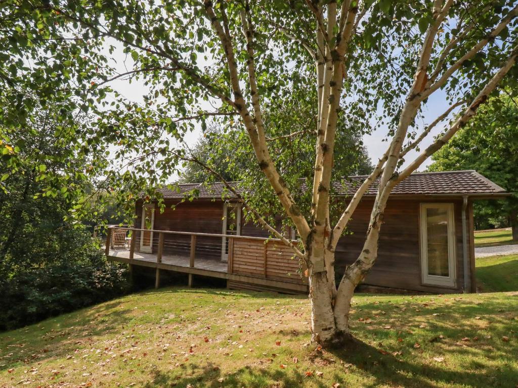 a log cabin with a tree in front of it at 2 Water's Edge in Looe