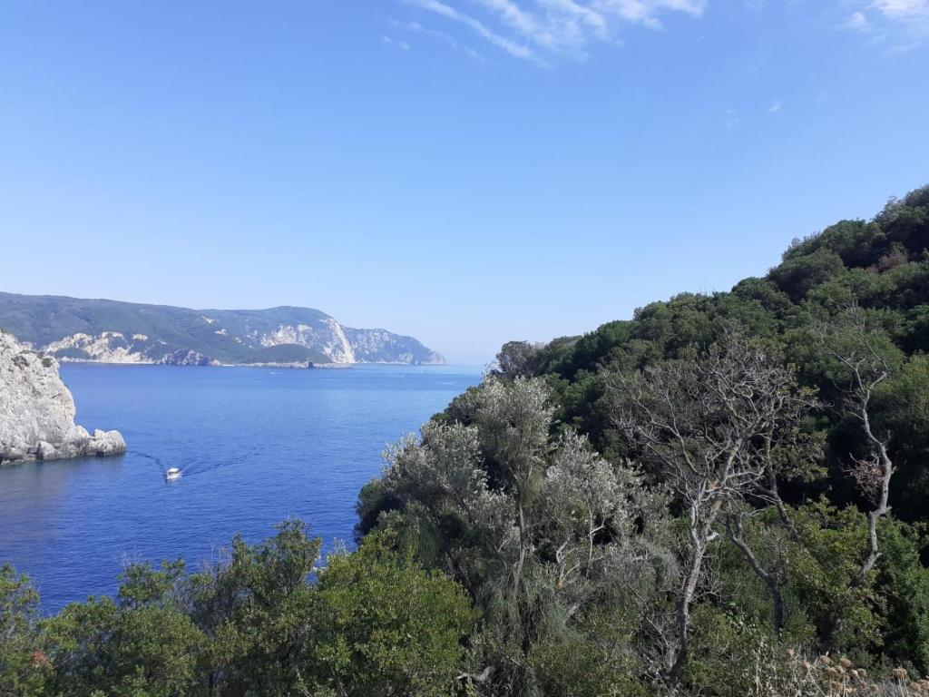 a view of a large body of water with trees at Villa Marinos & Pool in Petrití